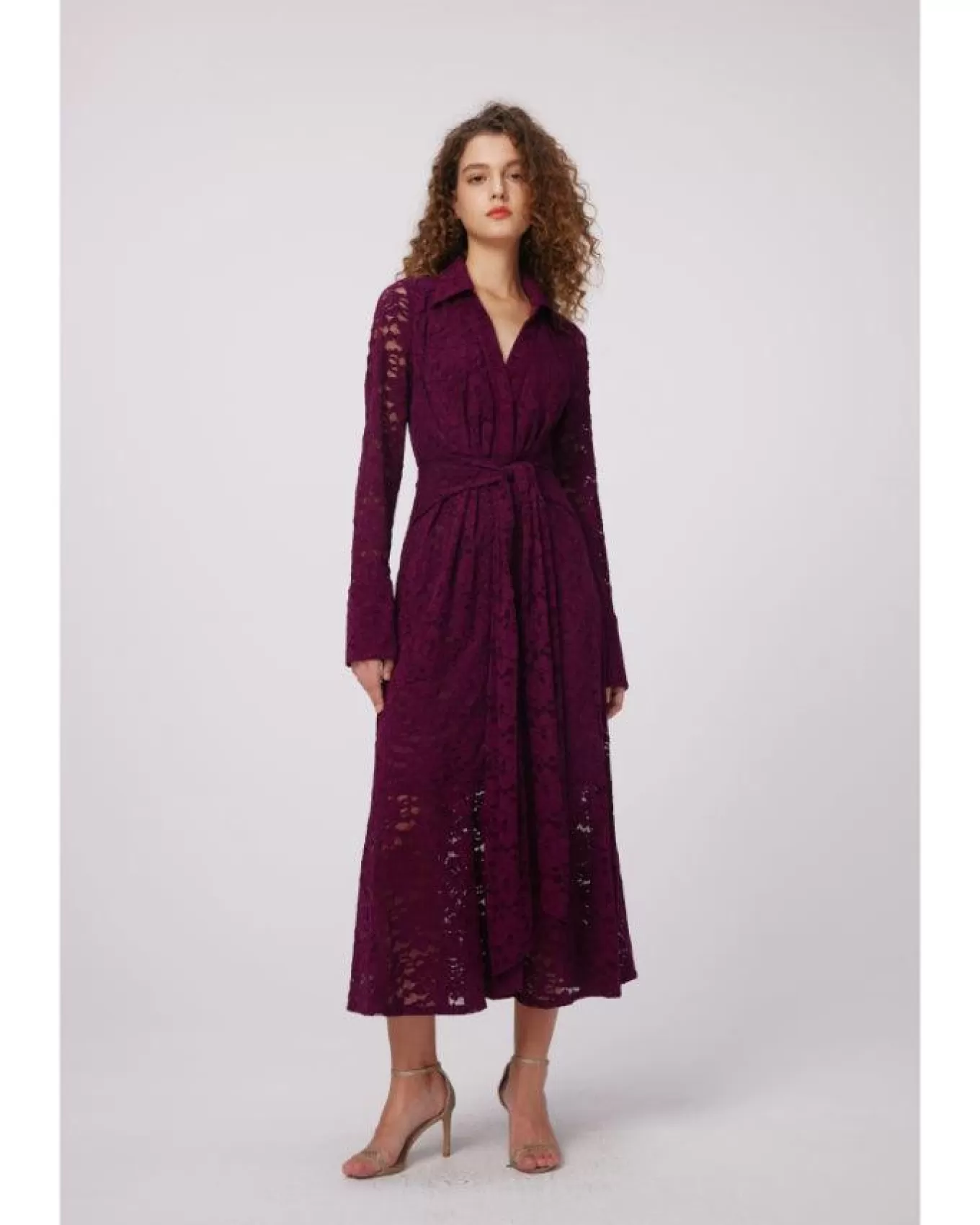 Regent Lace Midi Dress<Diane Von Furstenberg Outlet