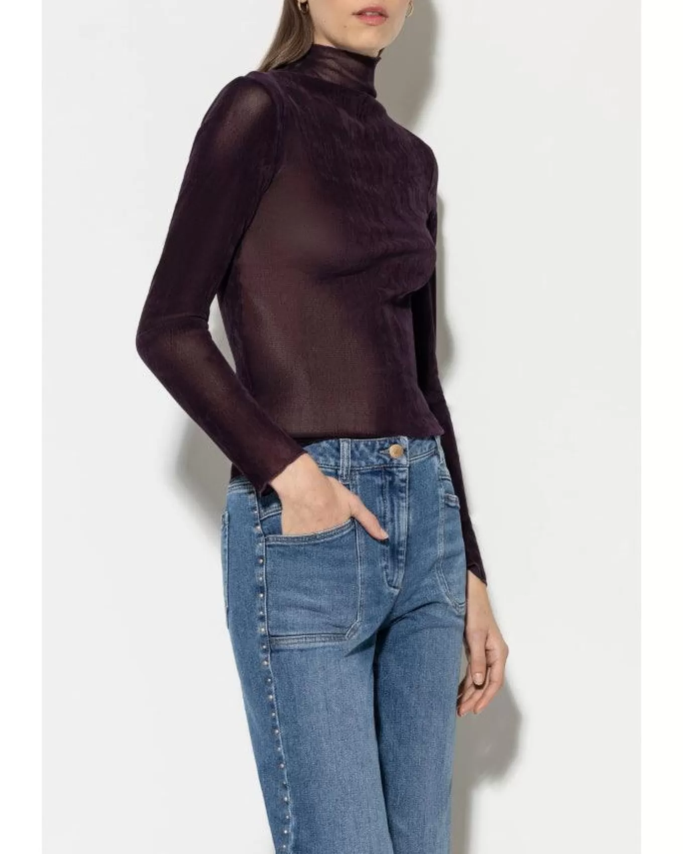 Velvet Look Mesh Turtleneck<Luisa Cerano Outlet